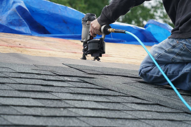 Best Roof Gutter Cleaning  in Heber, UT